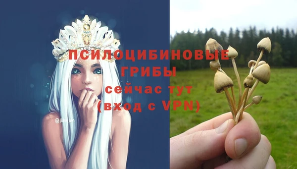 гидра Абинск