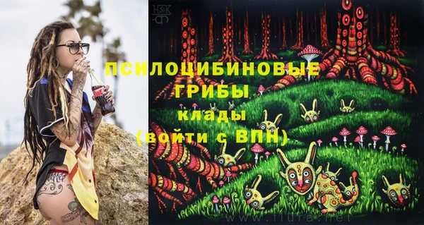 гидра Абинск