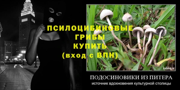прущие грибы Алексин