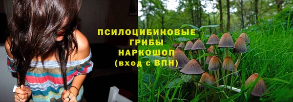 соль ск Алексеевка