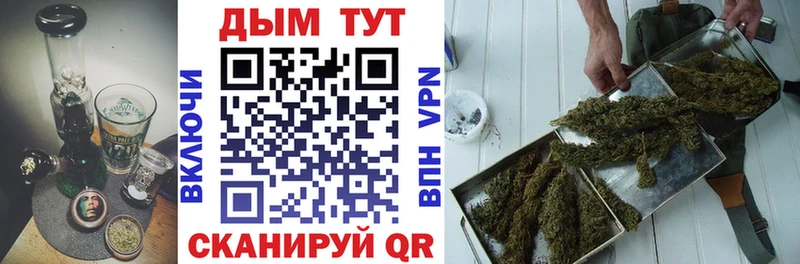 как найти наркотики  Зея  Марихуана SATIVA & INDICA 